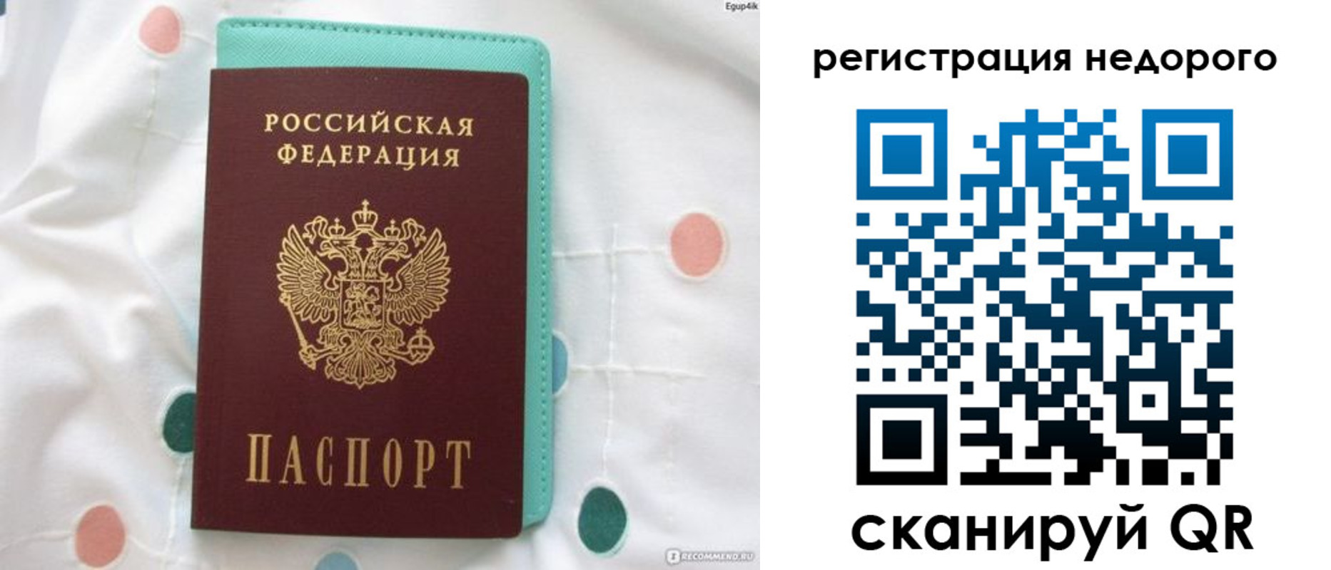 прописка для школы в Михайловке